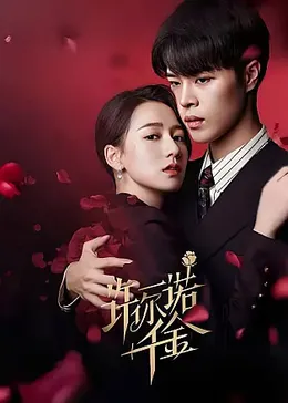 爱意随风 封面图